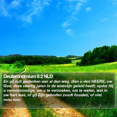 Deuteronomium 8:2 NLD Bible Verse Image