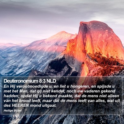 Deuteronomium 8:3 NLD Bible Verse Image