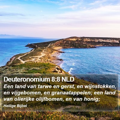 Deuteronomium 8:8 NLD Bible Verse Image