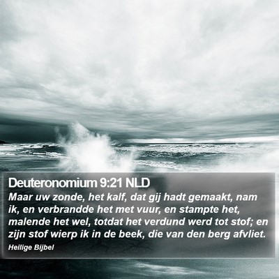 Deuteronomium 9:21 NLD Bible Verse Image