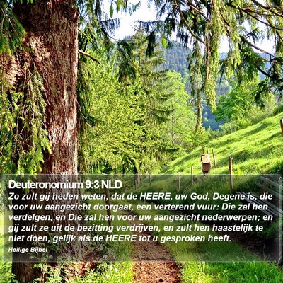 Deuteronomium 9:3 NLD Bible Verse Image