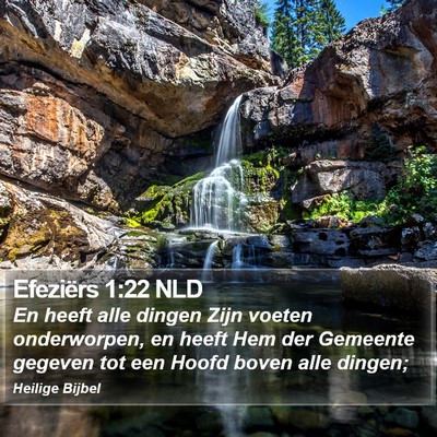Efeziërs 1:22 NLD Bible Verse Image