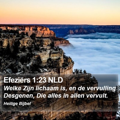 Efeziërs 1:23 NLD Bible Verse Image