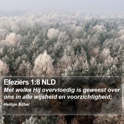 Efeziërs 1:8 NLD Bible Verse Image
