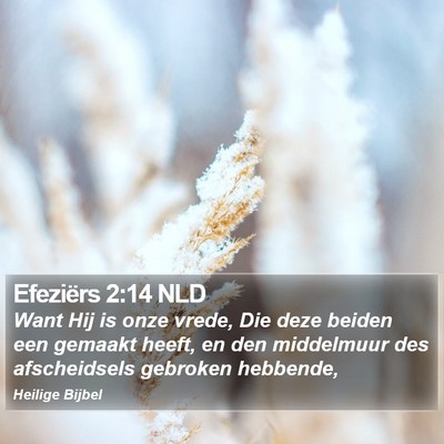 Efeziërs 2:14 NLD Bible Verse Image