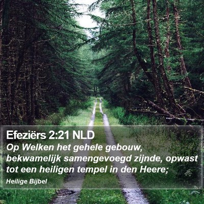 Efeziërs 2:21 NLD Bible Verse Image