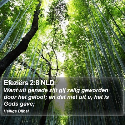 Efeziërs 2:8 NLD Bible Verse Image