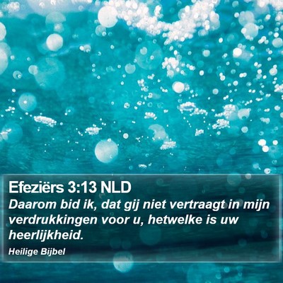 Efeziërs 3:13 NLD Bible Verse Image