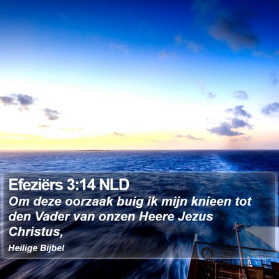 Efeziërs 3:14 NLD Bible Verse Image