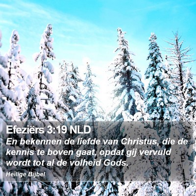 Efeziërs 3:19 NLD Bible Verse Image