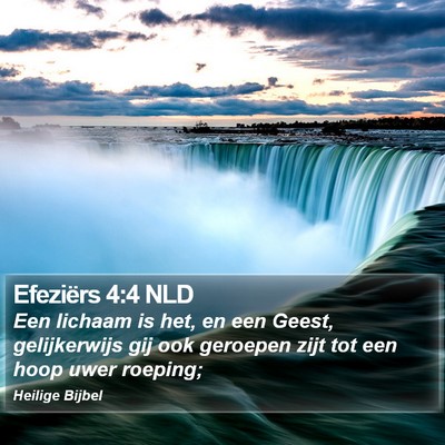 Efeziërs 4:4 NLD Bible Verse Image