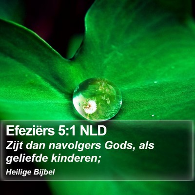 Efeziërs 5:1 NLD Bible Verse Image
