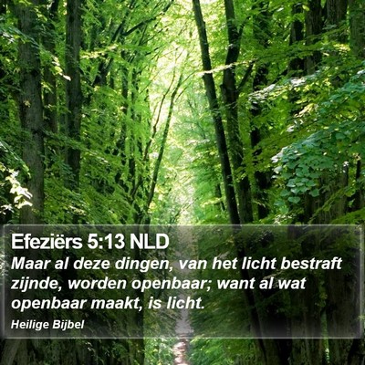 Efeziërs 5:13 NLD Bible Verse Image