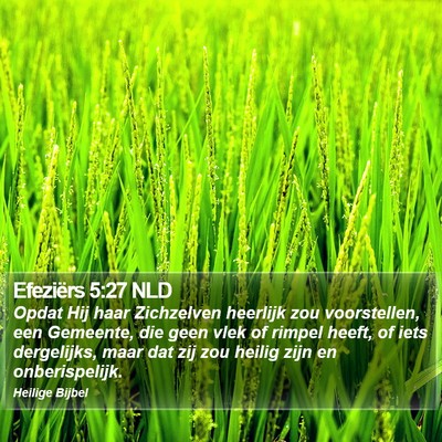 Efeziërs 5:27 NLD Bible Verse Image