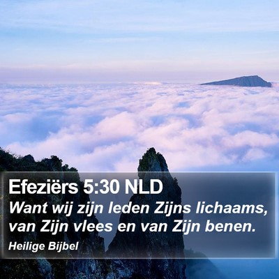 Efeziërs 5:30 NLD Bible Verse Image