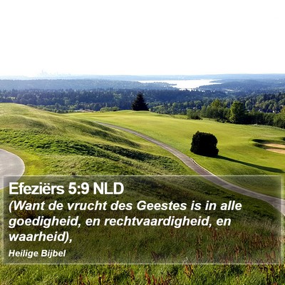 Efeziërs 5:9 NLD Bible Verse Image