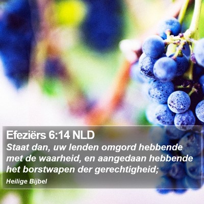 Efeziërs 6:14 NLD Bible Verse Image