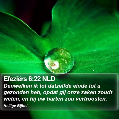 Efeziërs 6:22 NLD Bible Verse Image