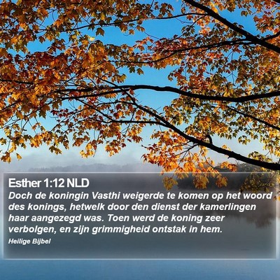 Esther 1:12 NLD Bible Verse Image