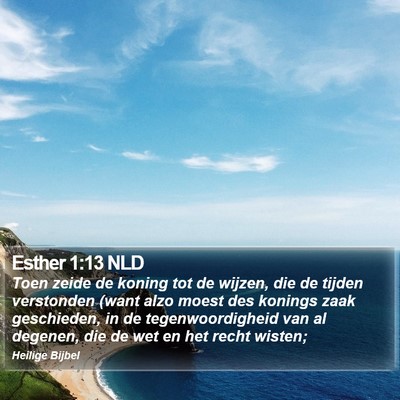 Esther 1:13 NLD Bible Verse Image