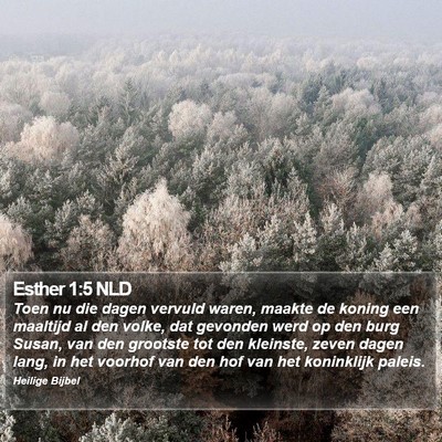Esther 1:5 NLD Bible Verse Image