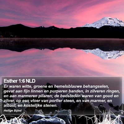 Esther 1:6 NLD Bible Verse Image