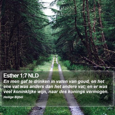 Esther 1:7 NLD Bible Verse Image