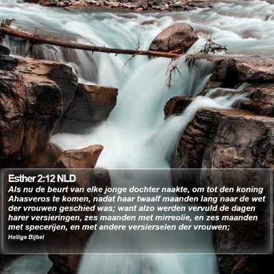 Esther 2:12 NLD Bible Verse Image