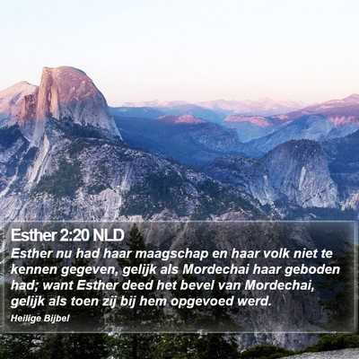 Esther 2:20 NLD Bible Verse Image