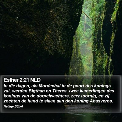 Esther 2:21 NLD Bible Verse Image