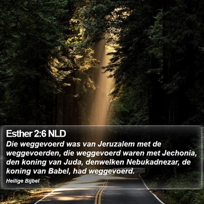 Esther 2:6 NLD Bible Verse Image