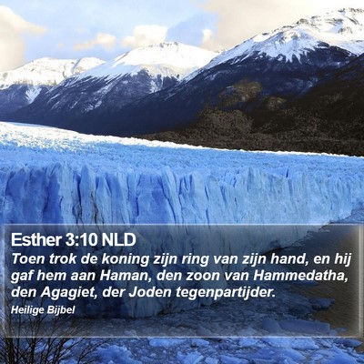 Esther 3:10 NLD Bible Verse Image