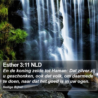 Esther 3:11 NLD Bible Verse Image