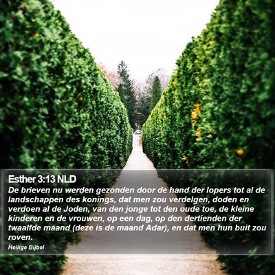 Esther 3:13 NLD Bible Verse Image
