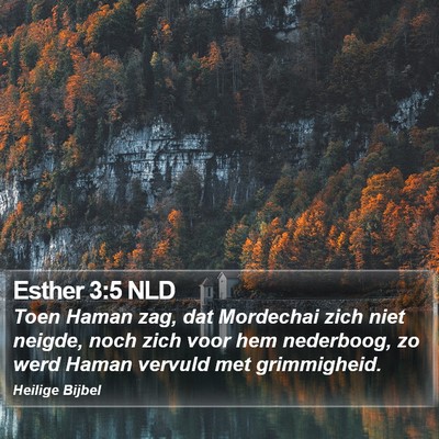 Esther 3:5 NLD Bible Verse Image