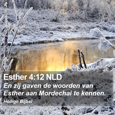 Esther 4:12 NLD Bible Verse Image