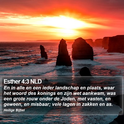 Esther 4:3 NLD Bible Verse Image