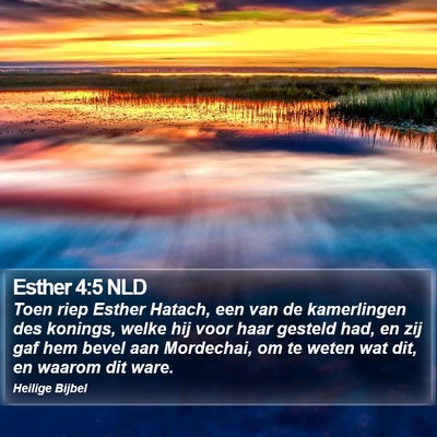 Esther 4:5 NLD Bible Verse Image