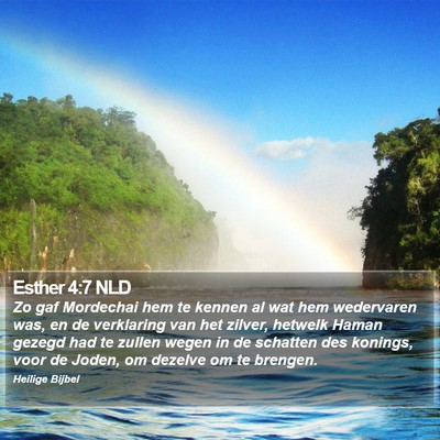 Esther 4:7 NLD Bible Verse Image
