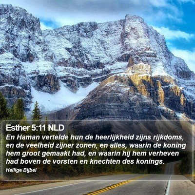 Esther 5:11 NLD Bible Verse Image