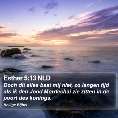 Esther 5:13 NLD Bible Verse Image