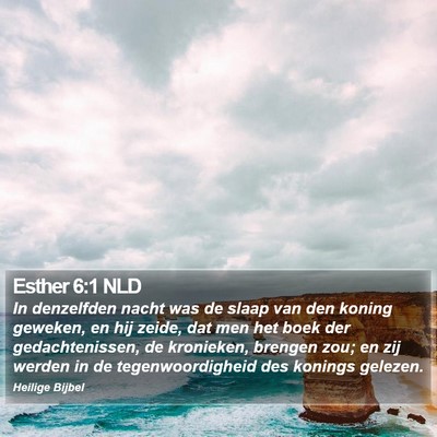 Esther 6:1 NLD Bible Verse Image