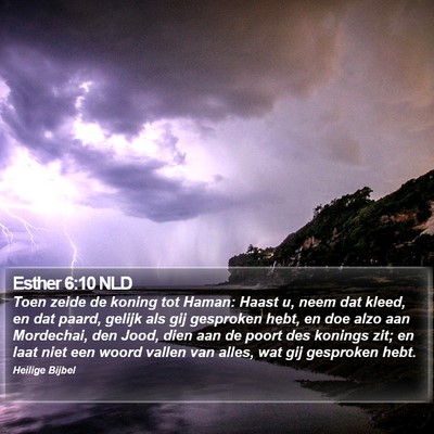 Esther 6:10 NLD Bible Verse Image