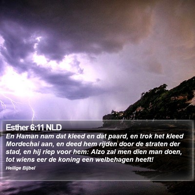 Esther 6:11 NLD Bible Verse Image