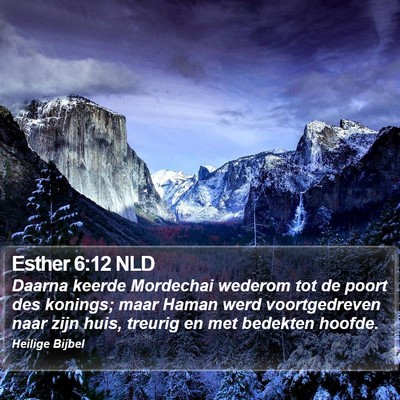 Esther 6:12 NLD Bible Verse Image