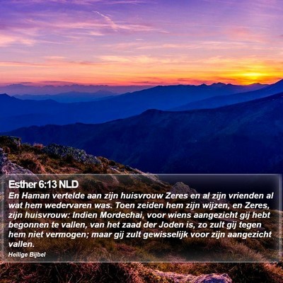 Esther 6:13 NLD Bible Verse Image