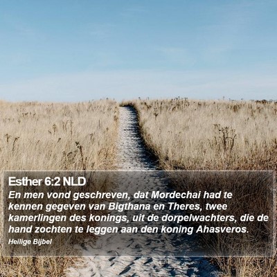 Esther 6:2 NLD Bible Verse Image