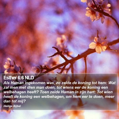 Esther 6:6 NLD Bible Verse Image