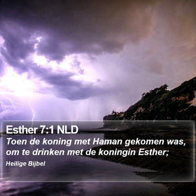 Esther 7:1 NLD Bible Verse Image