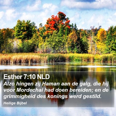 Esther 7:10 NLD Bible Verse Image
